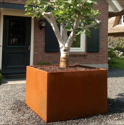 Gardenzz cortenstaal 100x100x100 cm plantenbak