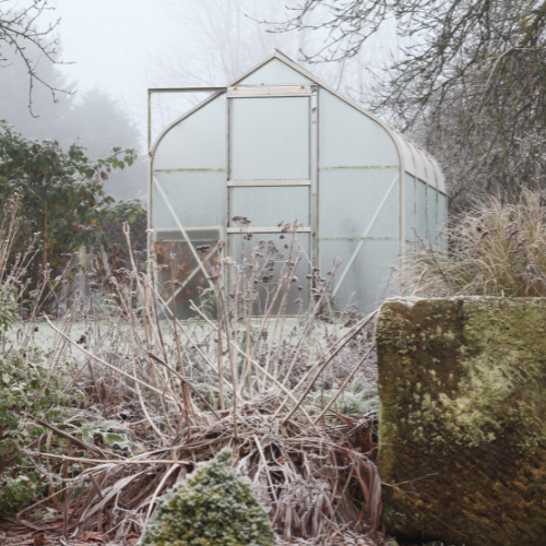 Winterse Tuinliefde: 8 Tips voor Tuinonderhoud in de Koude Maanden