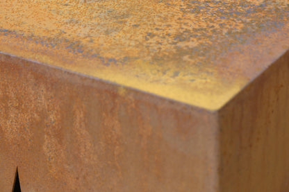 Gardenzz cortenstaal 70x70x70 cm plantenbak